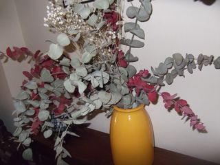 Fotocamera Digitale Fujifilm FinePix JX250 Blu