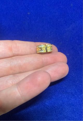 Charm Clip Dorado Huella Animal Pulsera pandora