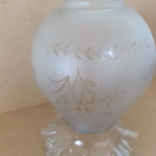 Tulipa antigua 23 cm