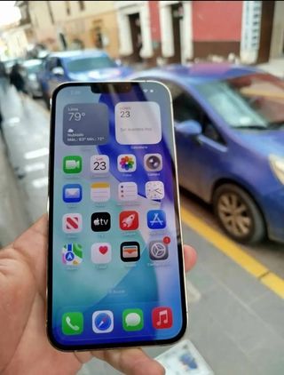 iPhone 13 Pro Max Oro