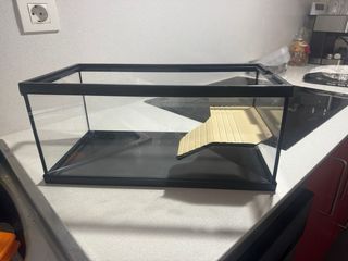 Acuario para tortugas