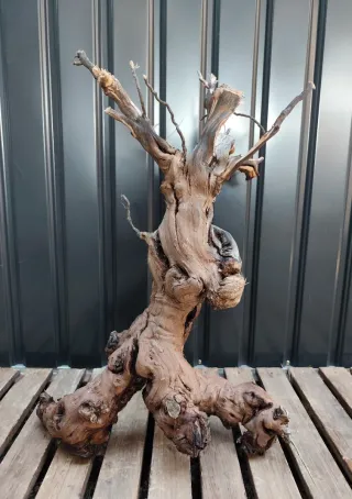 OFERTA! Raíz/tronco Decoración acuario