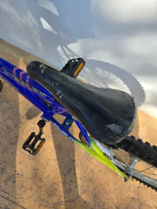 Bicicleta infantil azul y verde