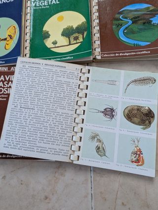 Lote de 5 mini atlas Jover