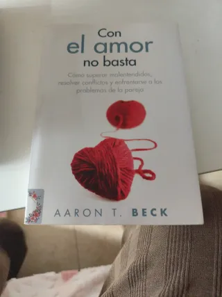 Con el amor no basta