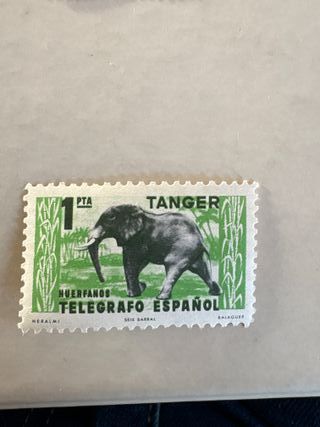 Sellos Tánger 1 PTA Flor y Elefante