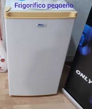Frigorífico pequeño Domest