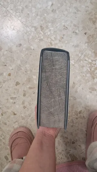 Alas de ónix. Edición limitada con cantos tintados