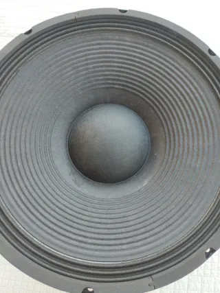 Audiophony CW15-300 Altavoz Profesional