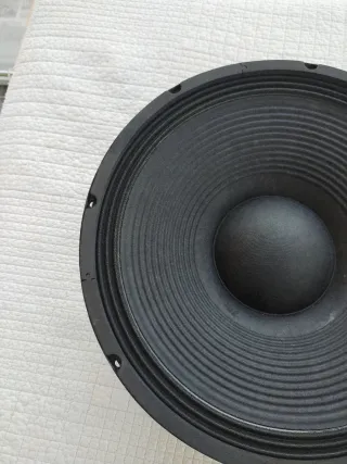 Audiophony CW15-300 Altavoz Profesional
