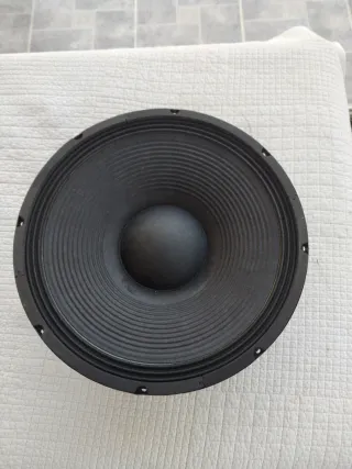 Audiophony CW15-300 Altavoz Profesional