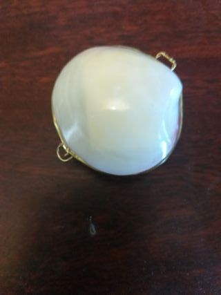 Joyero/Monedero Concha Filipinas