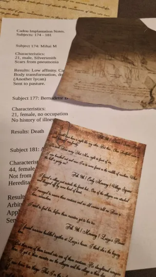 Resident Evil Village Dossier Files di Gioco