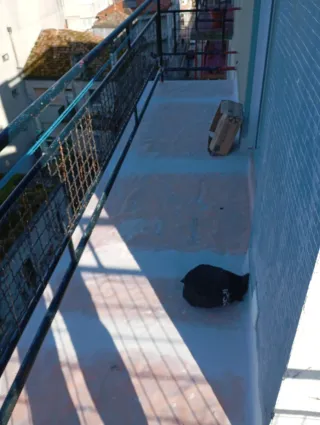 Alicatado para terrazas