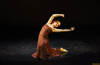 Clases de baile a domicilio