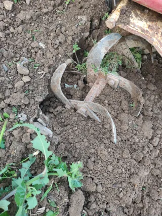 Motocultor Mollon con marchas funciona perfectamen