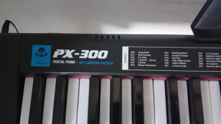 Piano Digital Casio PX-300