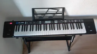 Piano Digital Casio PX-300