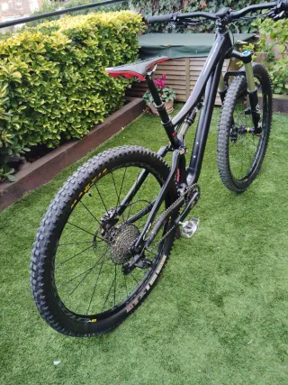 Specialized Stumpjumper FSR