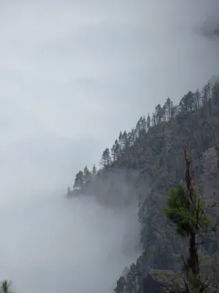 Cámara de Fotos Canon PowerShot SX620 HS