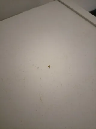 Estantería Billy Blanca con puertas.