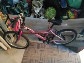 Bicicleta Infantil 20 Pulgadas Rosa