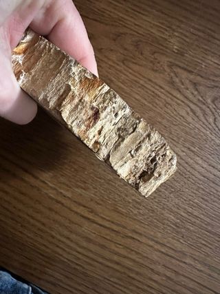 Posacenere in marmo fossile