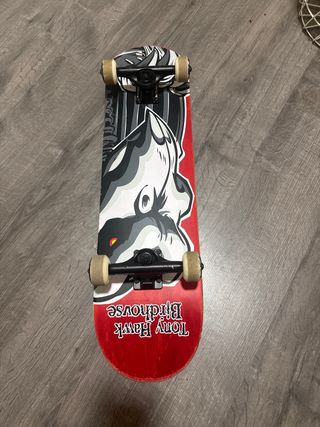 Skate Tony Hawk Birdhouse