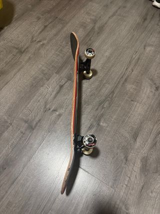 Skate Tony Hawk Birdhouse