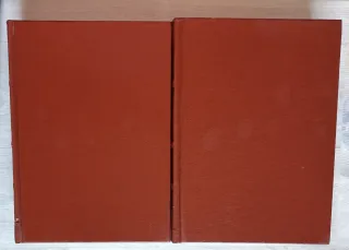 LA DIVINA COMEDIA (2 volúmenes)