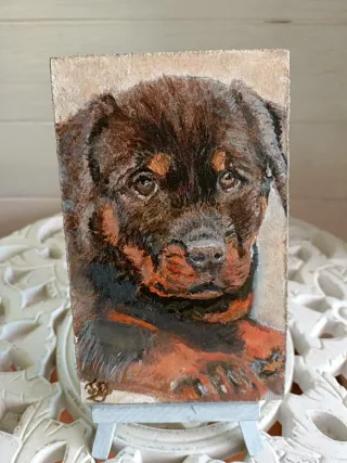 Cuadros hechos a mano de foto de tu mascota