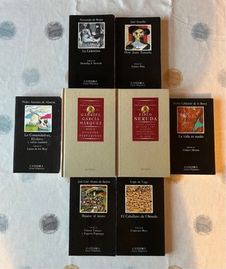 Lote 9 Libros Clásicos Literatura Española