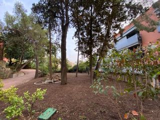 Jardinero Profesional - Mantenimiento, Podas y Limpieza