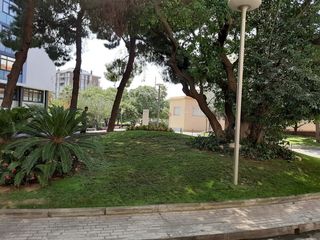 Jardinero Profesional - Mantenimiento, Podas y Limpieza