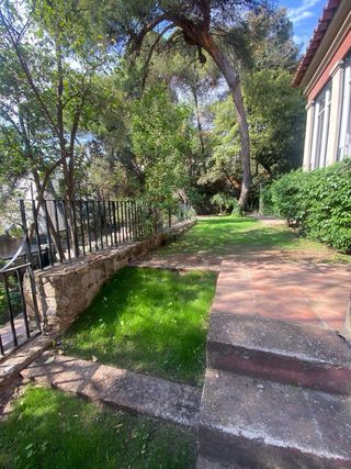Jardinero Profesional - Mantenimiento, Podas y Limpieza