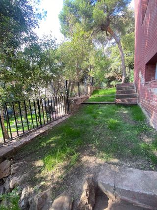 Jardinero Profesional - Mantenimiento, Podas y Limpieza