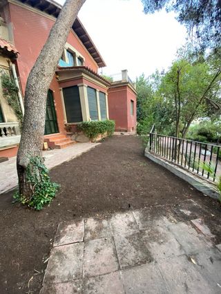 Jardinero Profesional - Mantenimiento, Podas y Limpieza