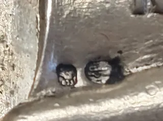 Crucifijo antiguo plata maciza sXVIII 20cm sellos