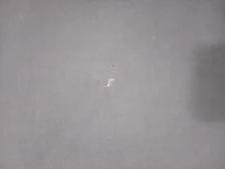 Sofá de tela gris los desperfectos no se notan