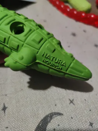 Lote juguetes duros para perro pack