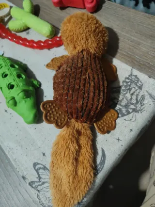 Lote juguetes duros para perro pack