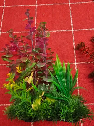 Decoración Acuario Rocas y Plantas