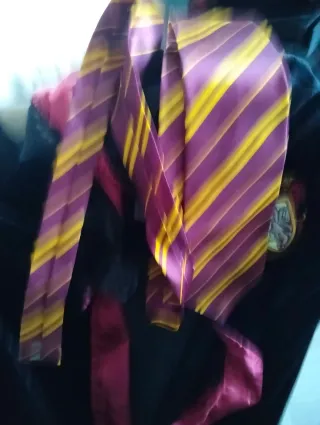 Disfraz Harry Potter Gryffindor