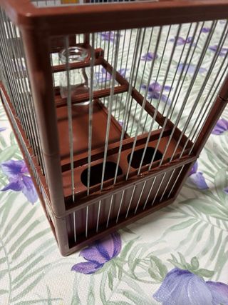 Jaula y cajón para pájaros
