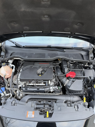 Ford Fiesta ST MK8 Performance 2019