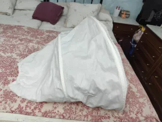 Vestido Comunión + Zapatos + Cancán