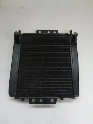 Radiador Piaggio MP3 / X8