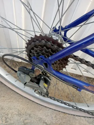 Bicicleta Tagger Zebra 26 Azul