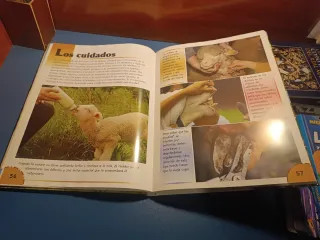 El libro de la granja (Editorial Susaeta)