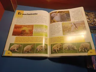 El libro de la granja (Editorial Susaeta)